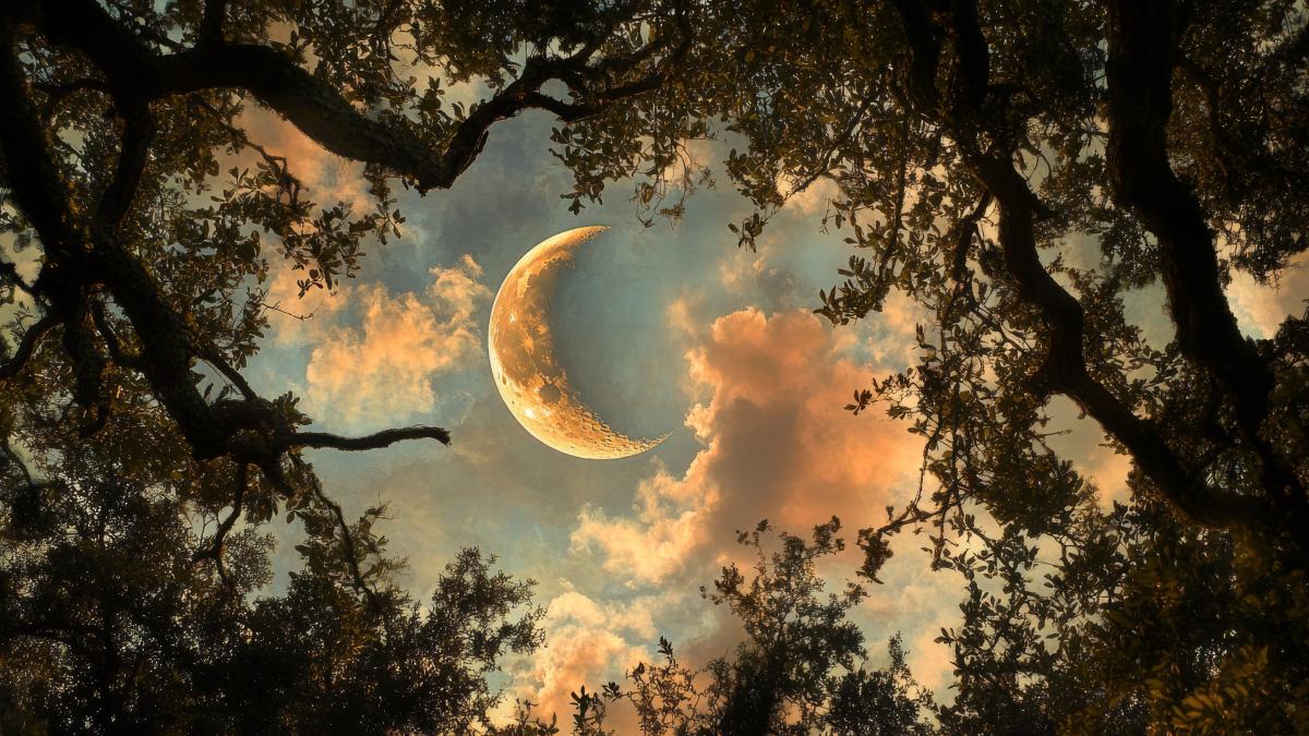 luna noua natura