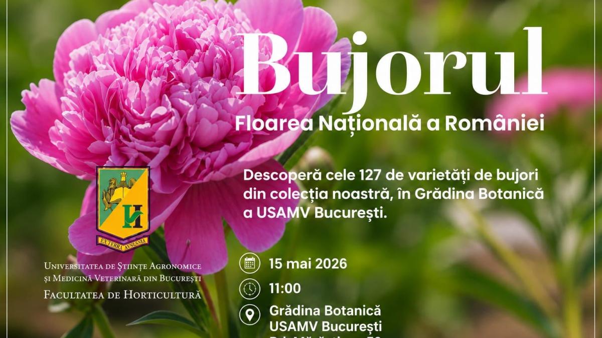 imagine cu afisul evenimentului Bujorul - floarea națională a României