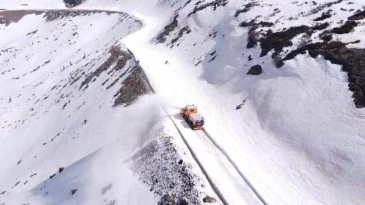 Transalpina