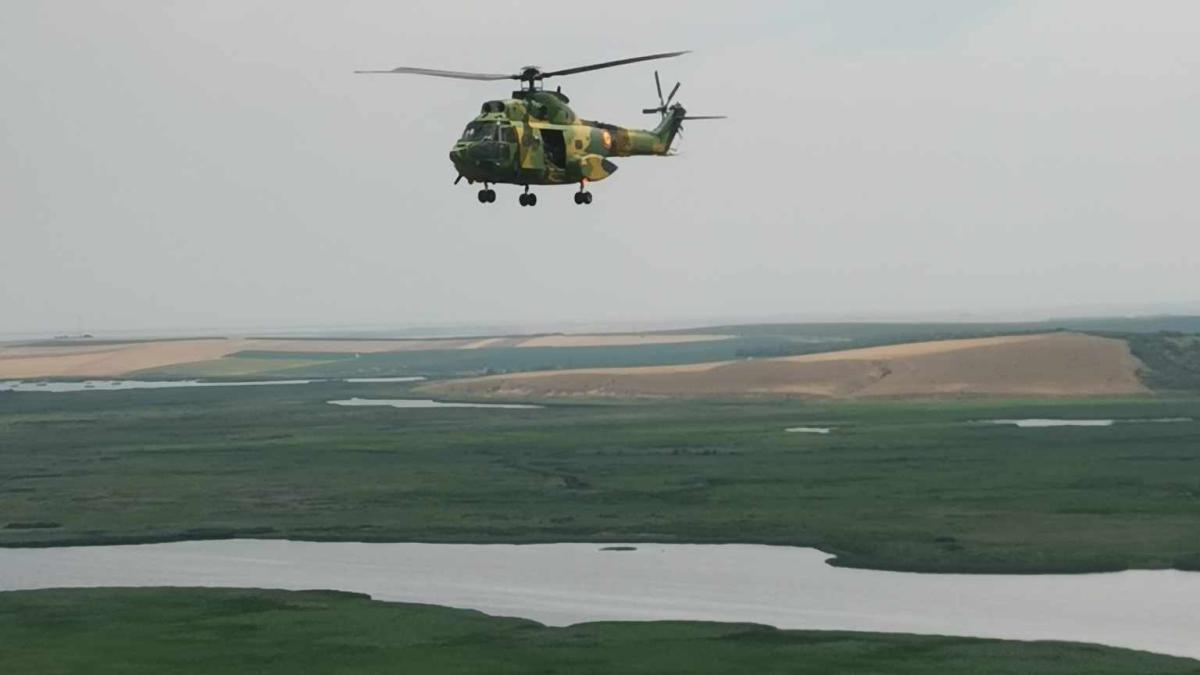 Iar puma 2