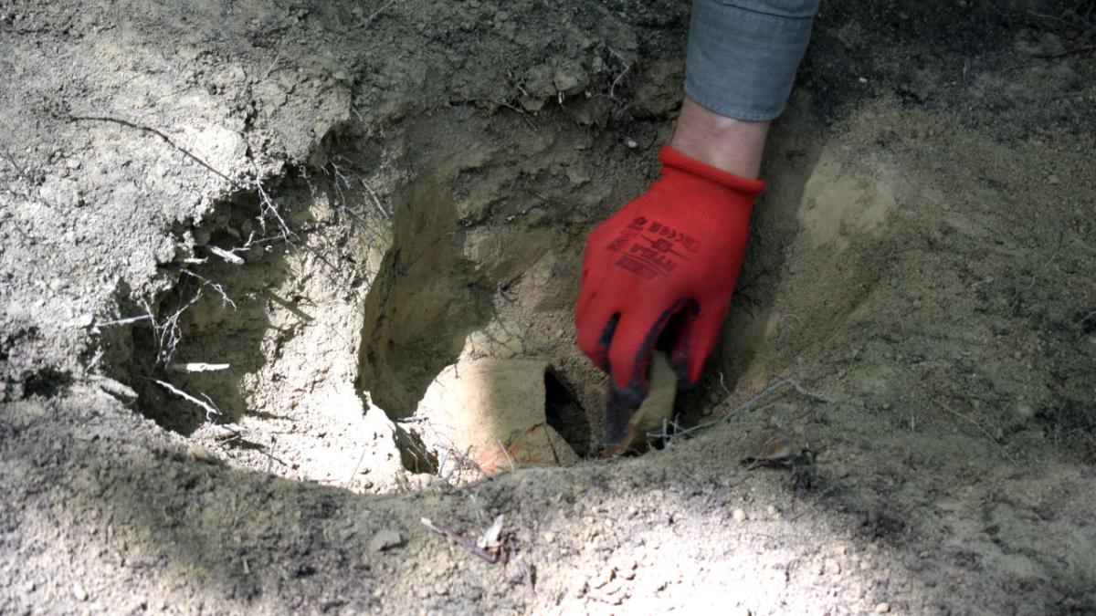 descoperire arheologica cu detector de metale