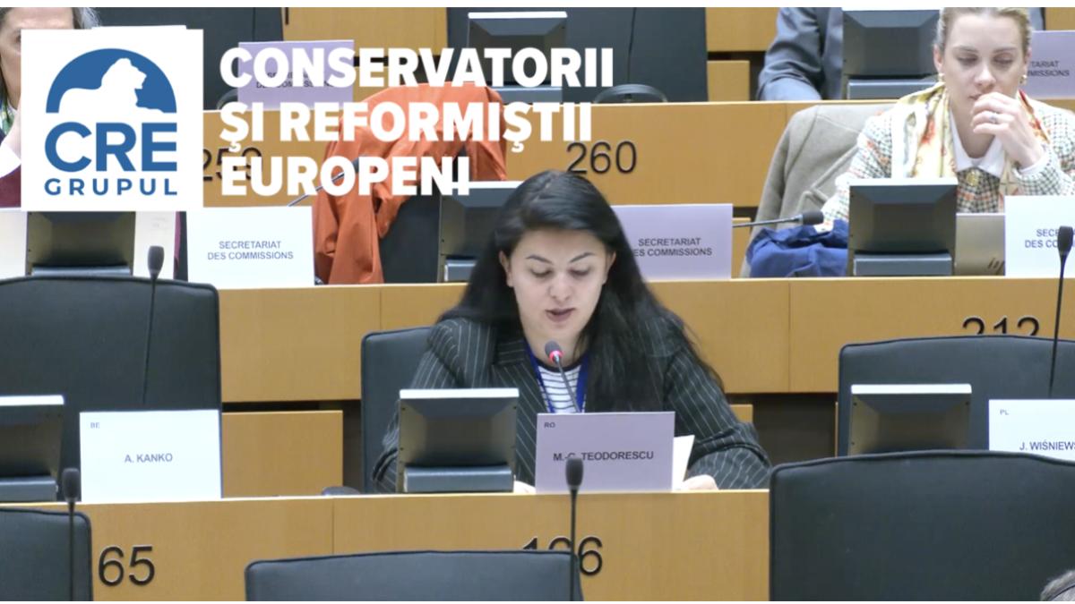 georgiana teodorescu europarlamentar ecr securitatea spatiului schengen se decide pe flancul estic finantarea europeana pentru frontiere trebuie sa urmeze riscul real