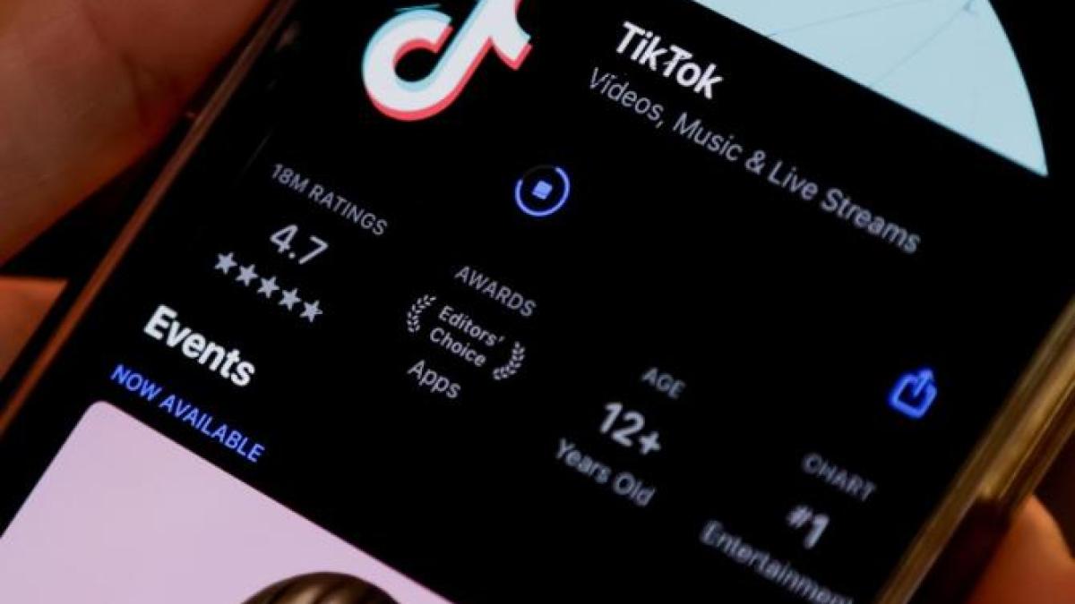 influencer viral pe tiktok care ii cerea lui putin sa invadeze moldova arestat la revenirea in tara