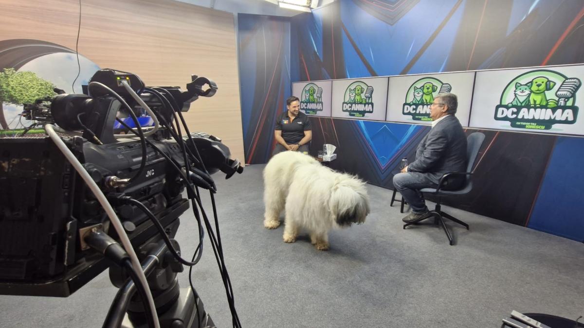 povestea unui caine iubitor ciobanescul mioritic la dc anima video