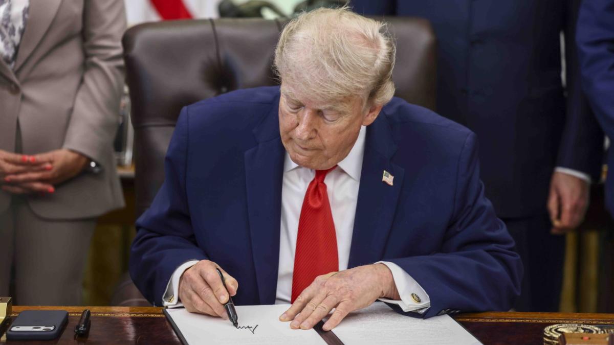donald trump sua