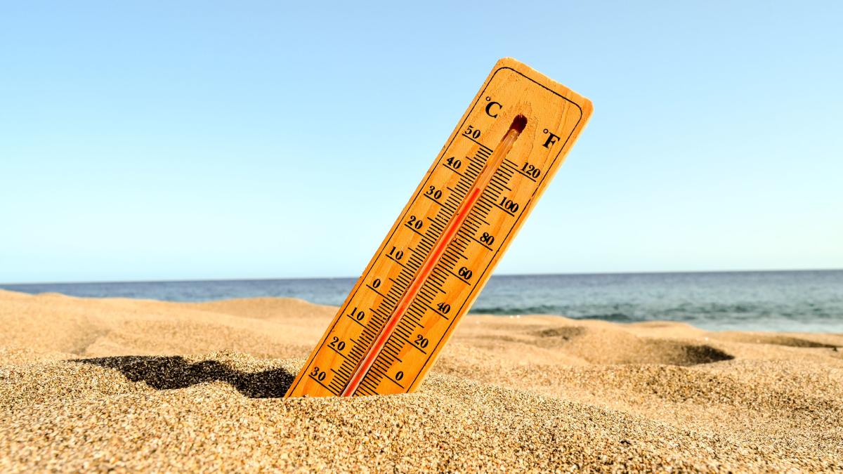 caldura_83205500