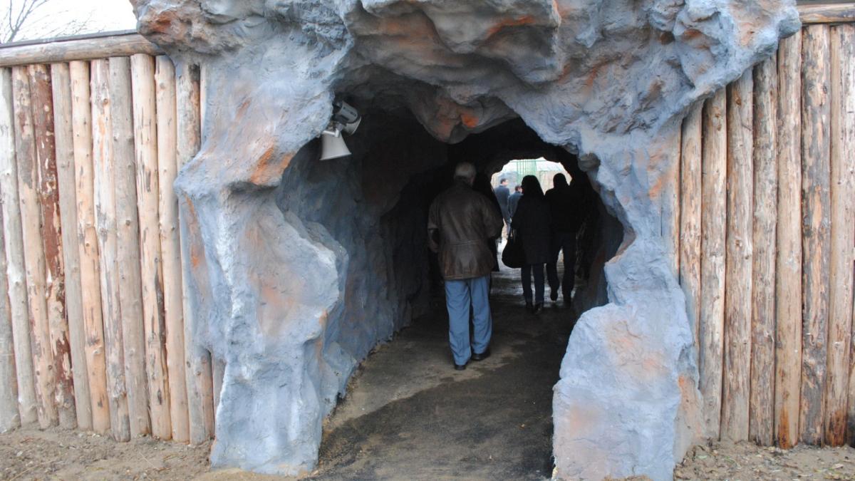 zoo oradea