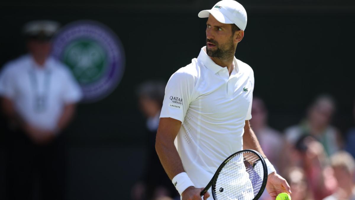 novak djokovic tenis