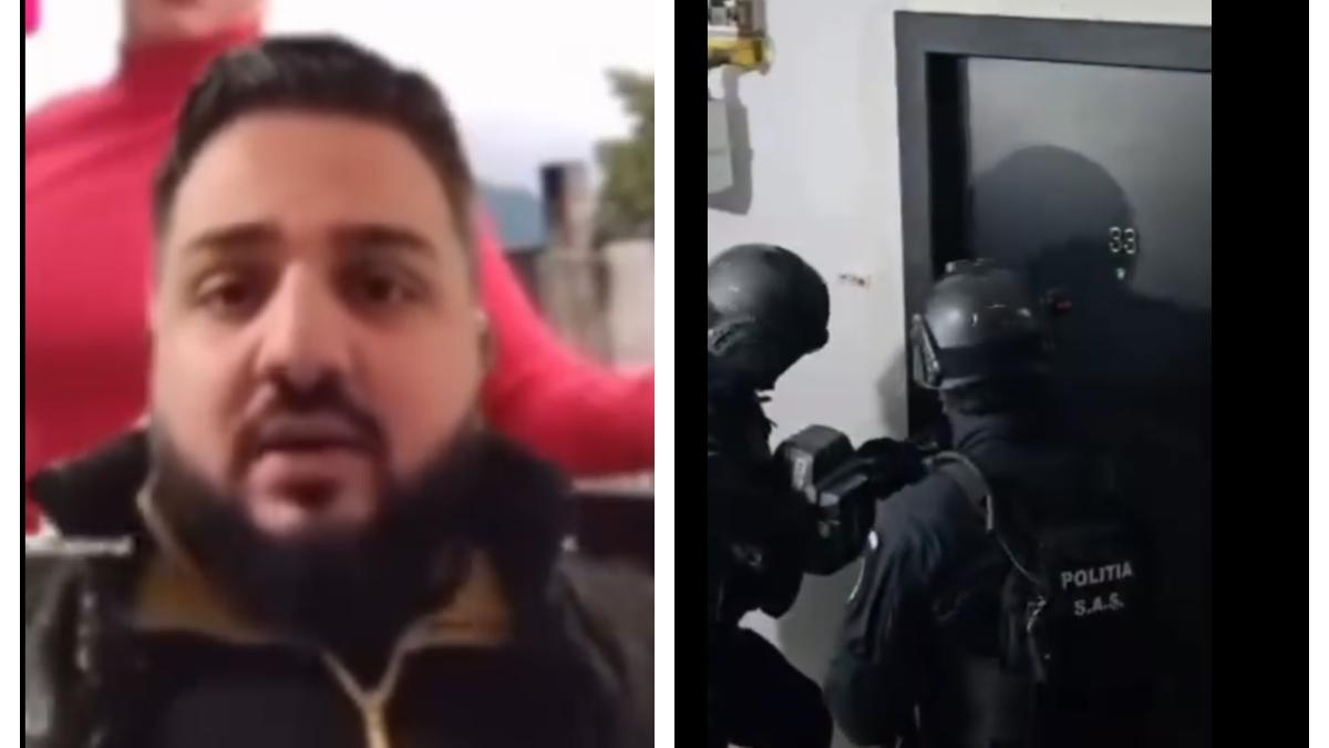 perchezitii casandra
