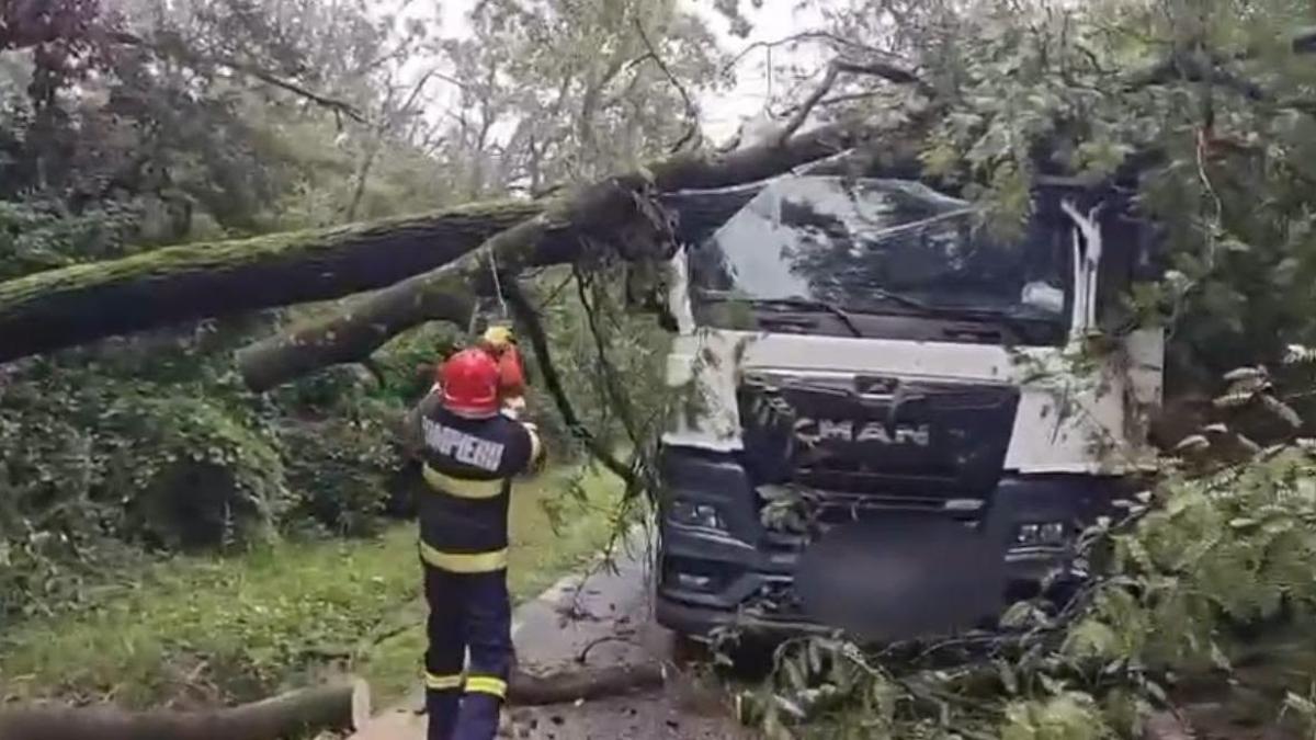 ploile au facut ravagii in sase judete si in bucuresti zeci de locuinte inundate oameni evacuati si copaci doborati de vant