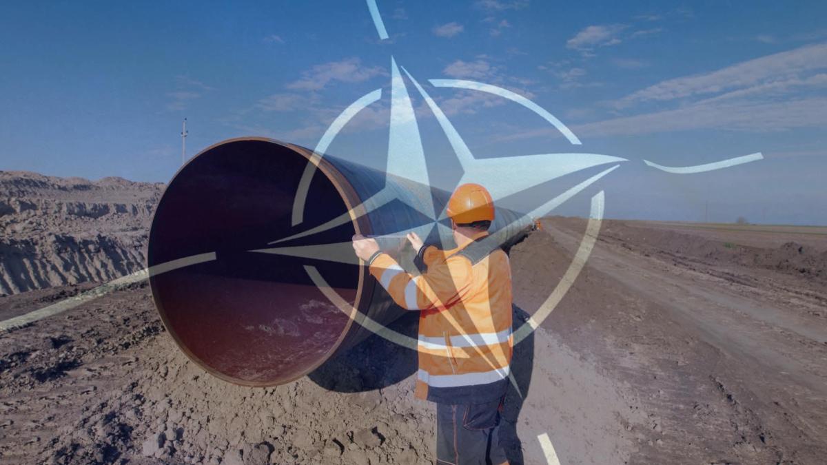 nato conducte