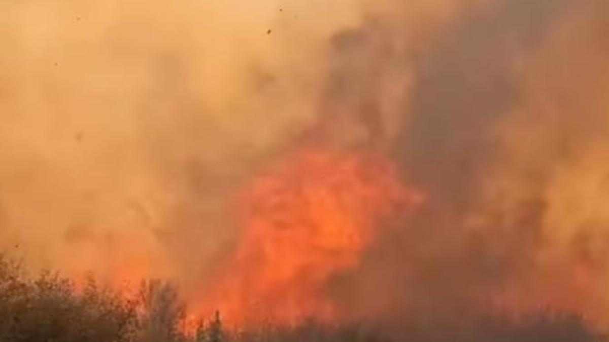 Spania se confruntă cu cel mai mare incendiu forestier din istoria recentă