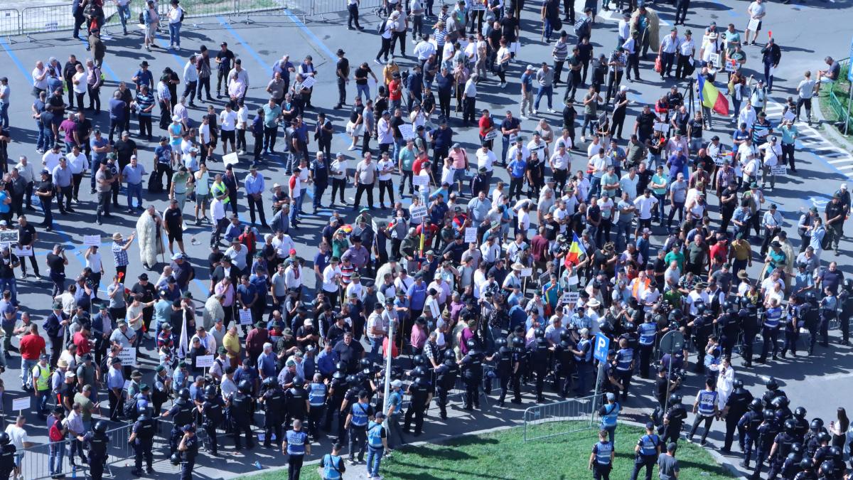 protest