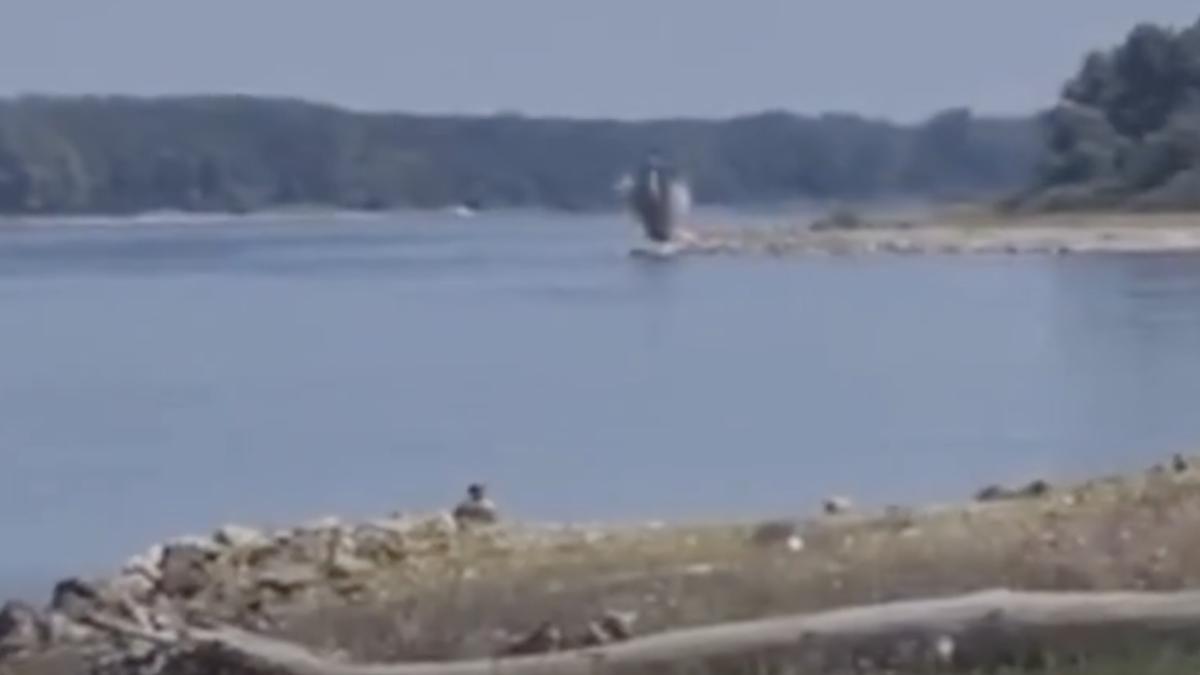 armata intervine si va arunca in aer o stanca pe dunare obiectivul e de a devia apa spre cernavoda