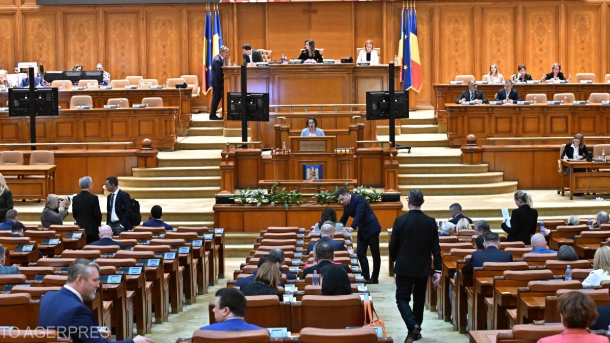 camera deputatilor plen parlament