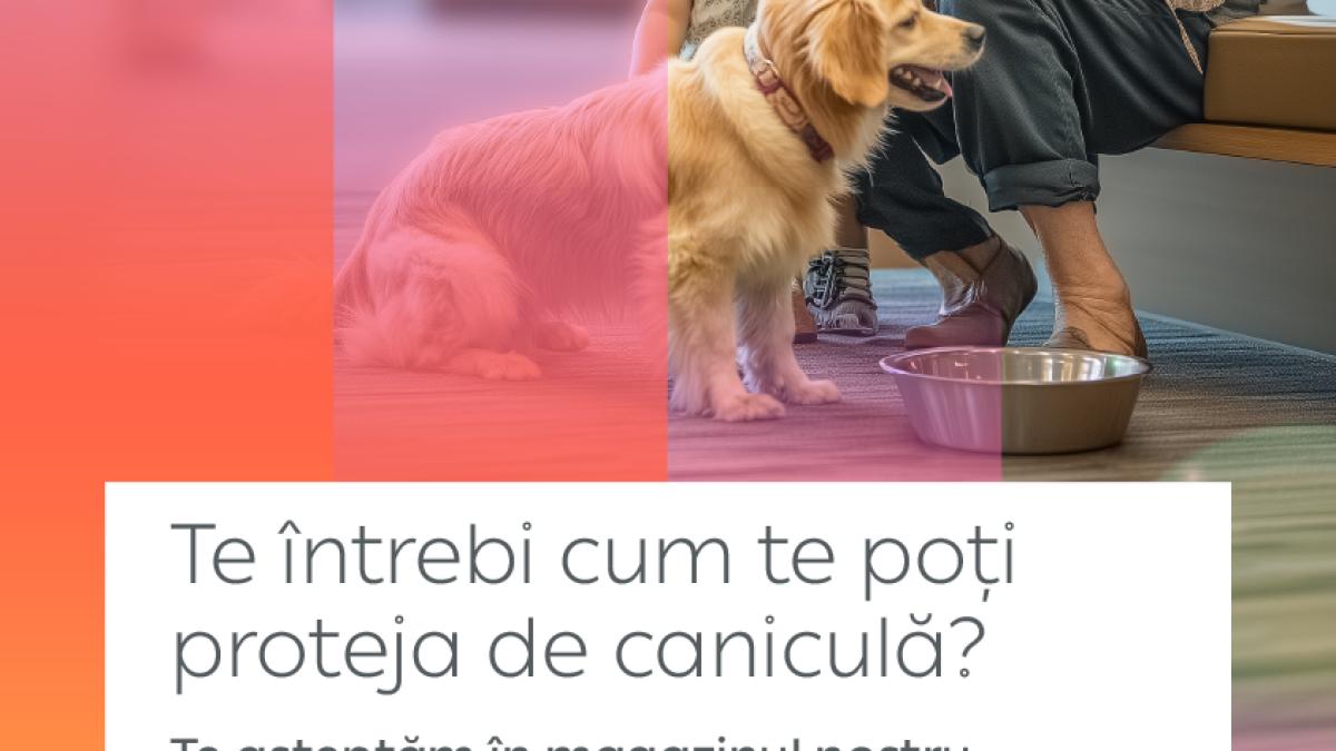 Pentru al doilea an consecutiv, magazinele PPC Energie devin puncte de adăpostire pe timp de caniculă