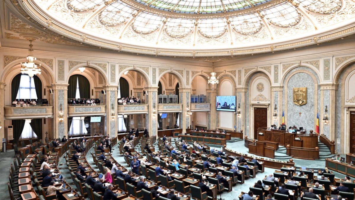 plen parlament parlamentari vot