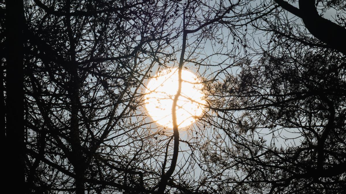 Cel mai bun loc din România pentru a vedea eclipsa de Soare din 12 august. Harta completă  foto