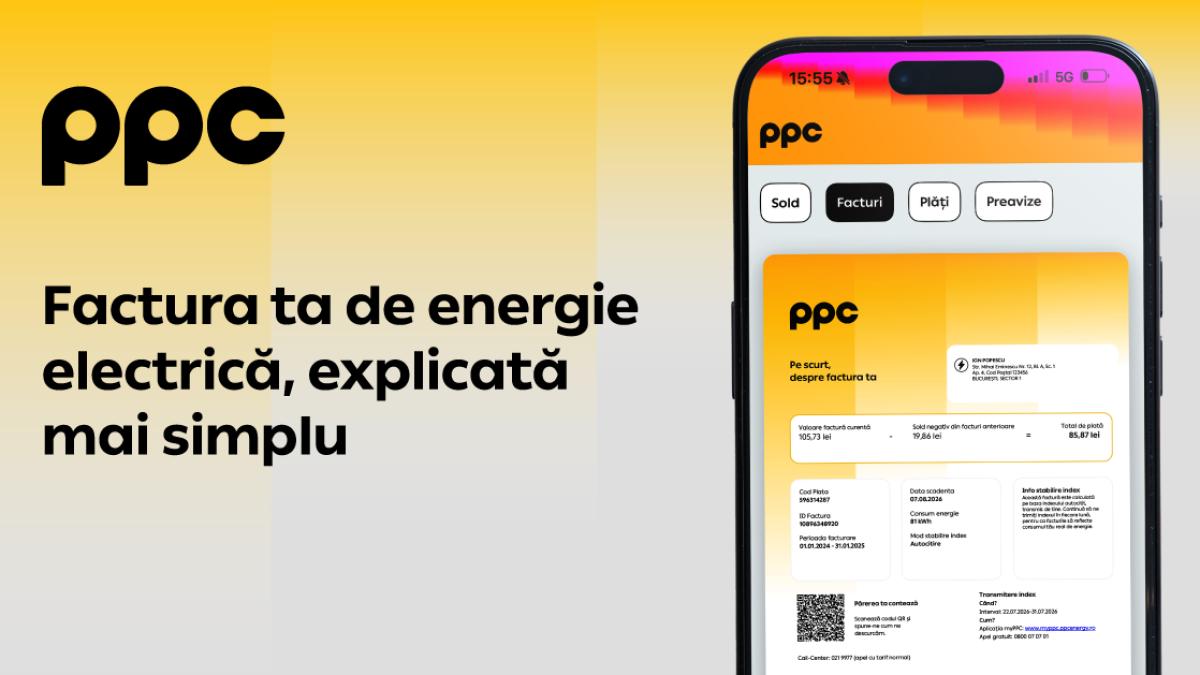 vizual PPC - nou layout 2