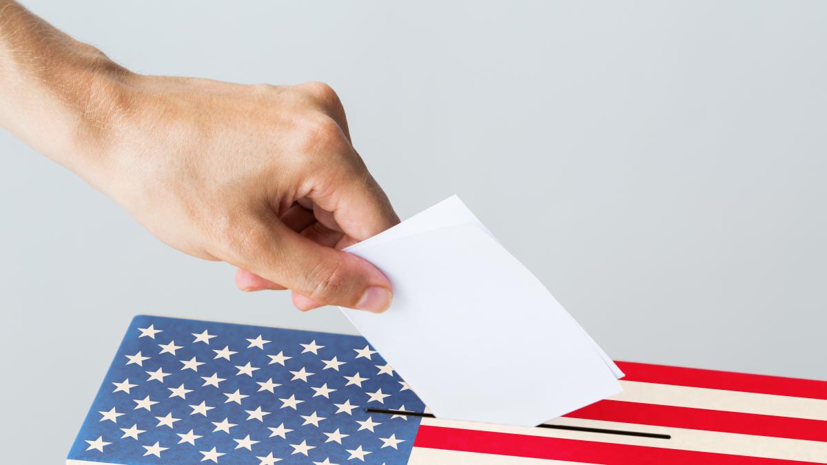 vot votare statele unite