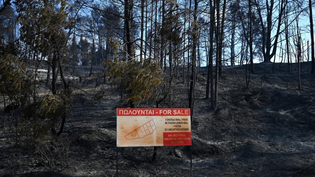 incendiu grecia