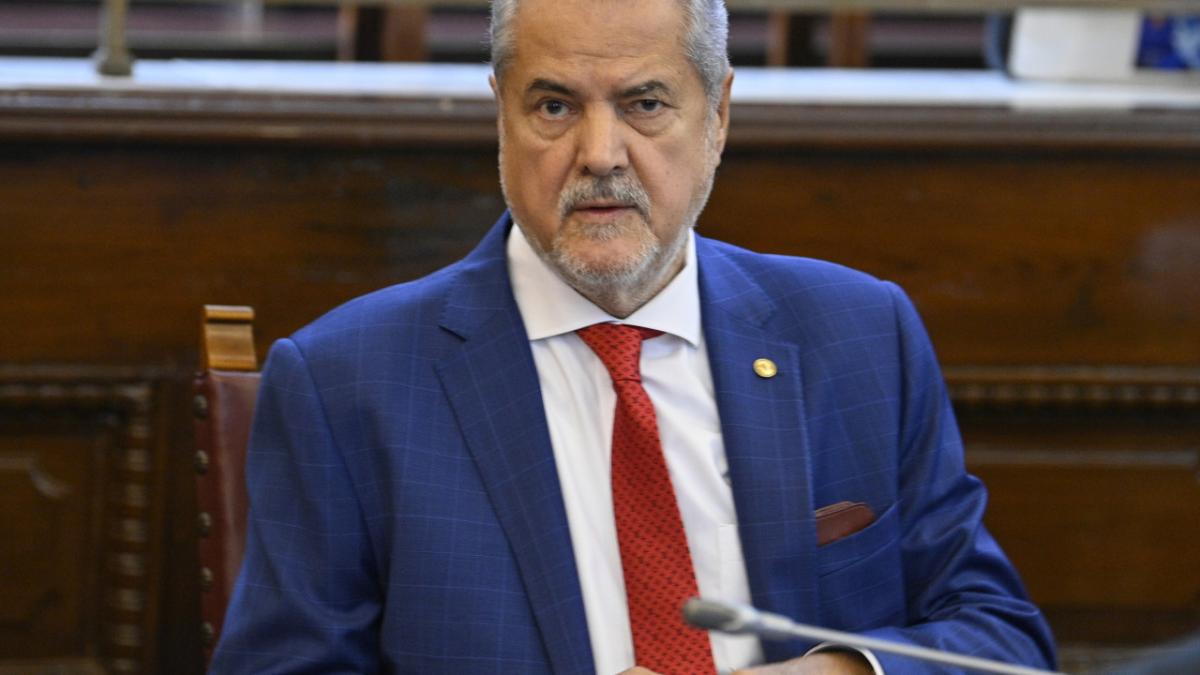 adrian nastase oana toiu