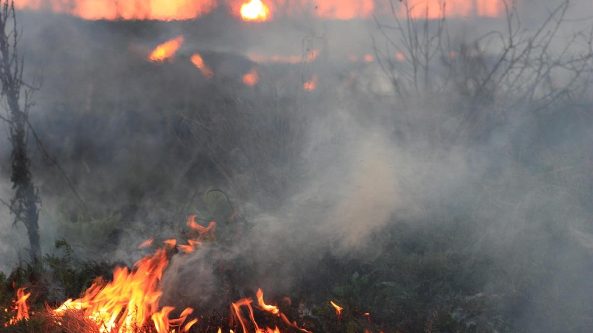incendii vegetatie serbia