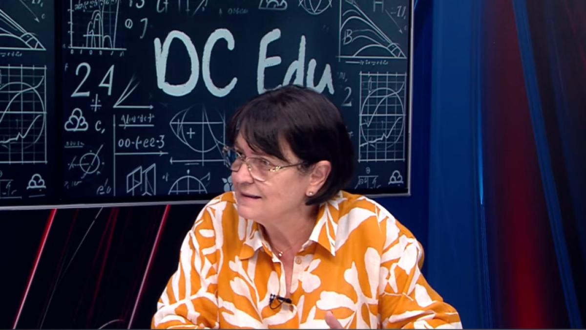 prof andreia bodea