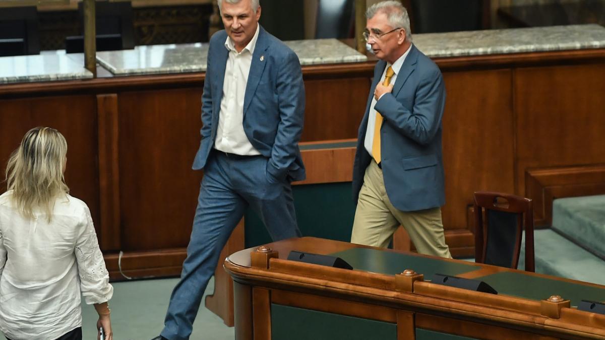 daniel zamfir si petrisor peiu in senatul romaniei