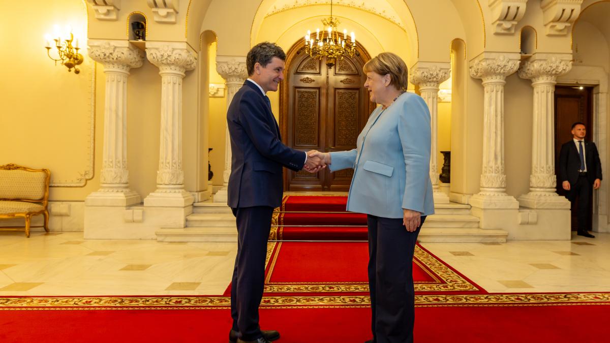 nicusor dan angela merkel