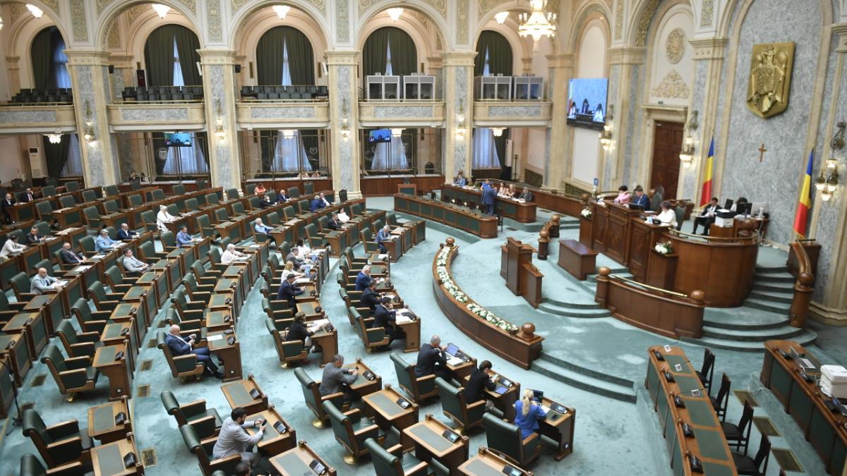 sedinta plen senat parlament