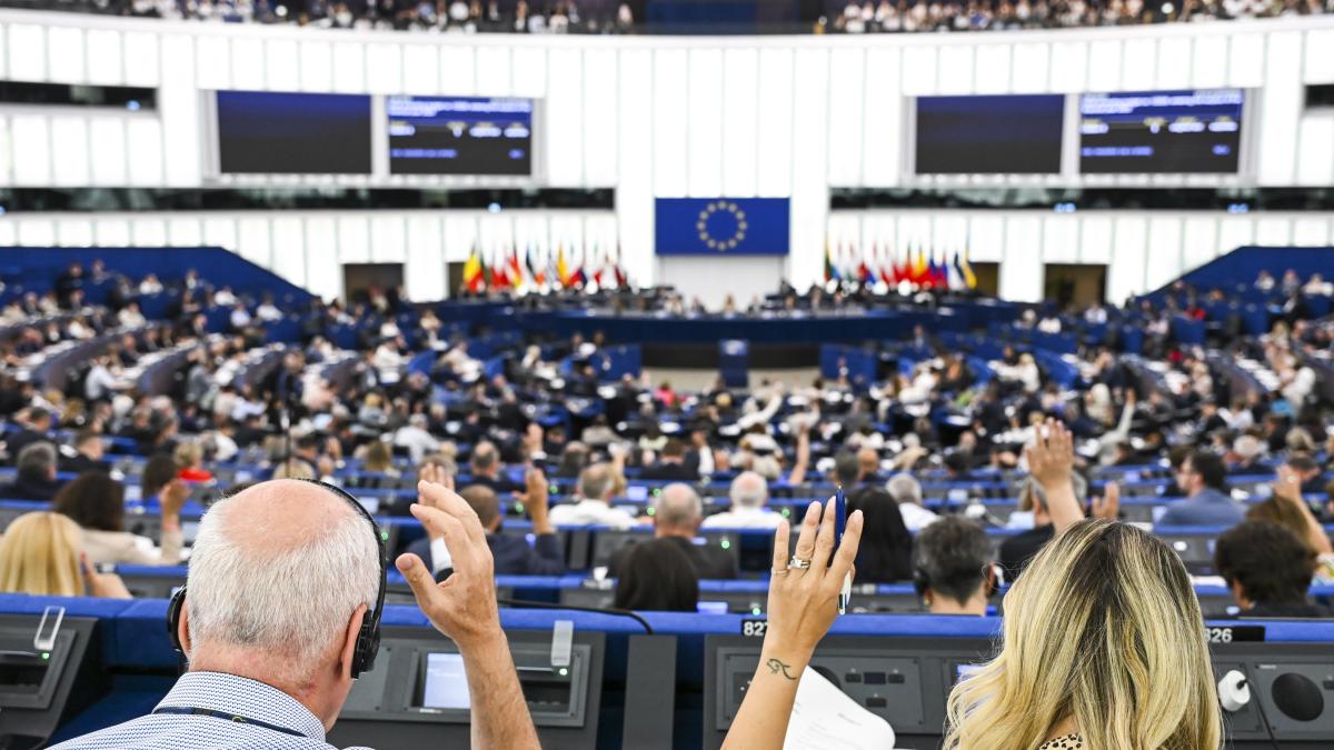 parlamentul european