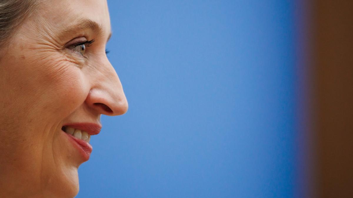 alice weidel afd