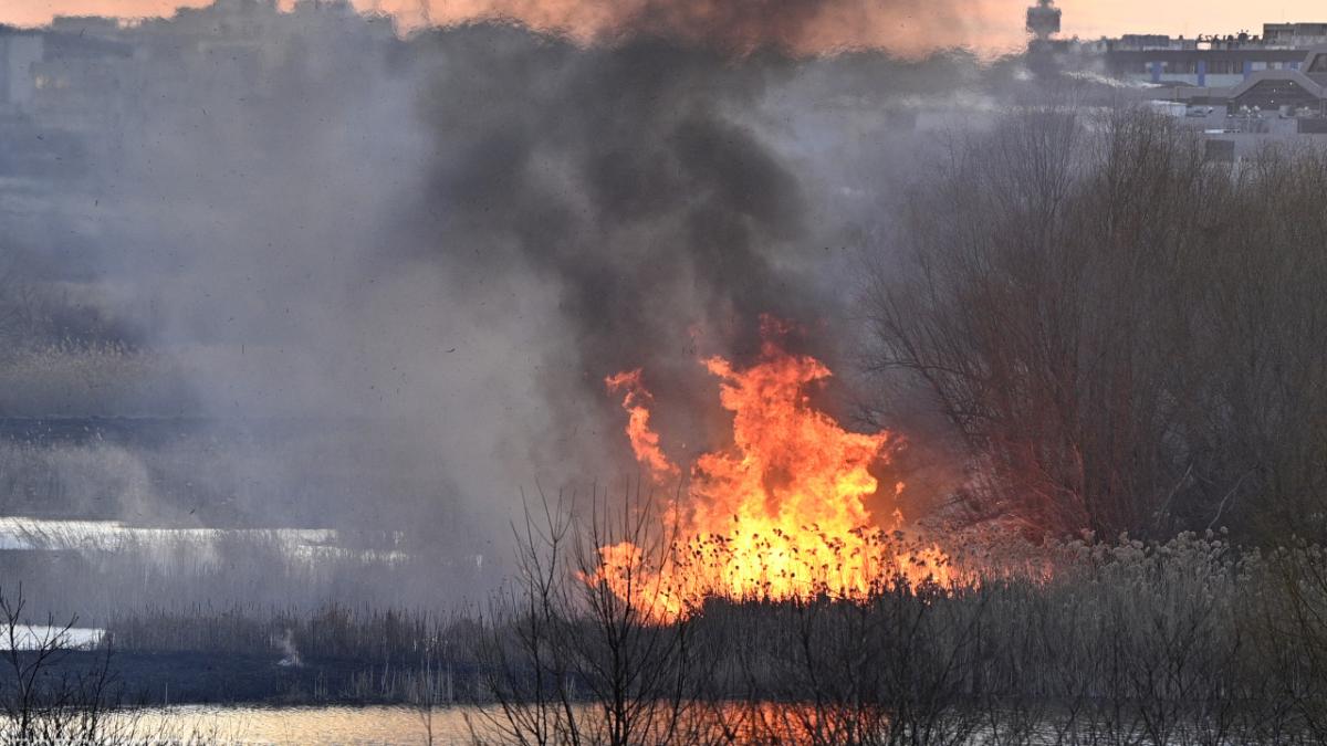 incendiu de vegetatie