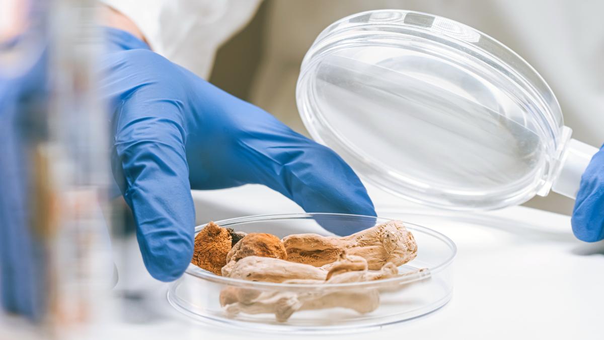 unde in europa s au inregistrat cele mai multe focare de salmonella alimentele cel mai des contaminate