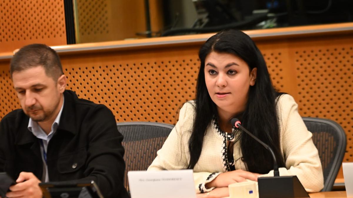 terorismul nu cunoaste granite georgiana teodorescu la bruxelles cel mai important rezultat este un atac care nu a avut loc niciodata