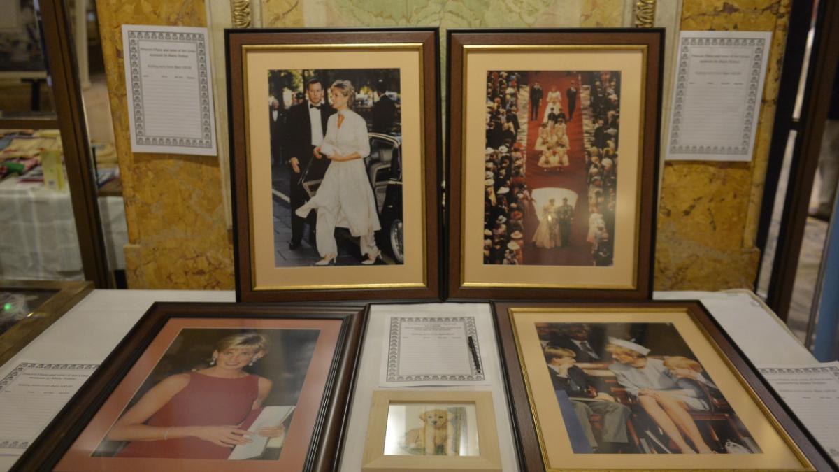 printesa diana; sursa agerpres