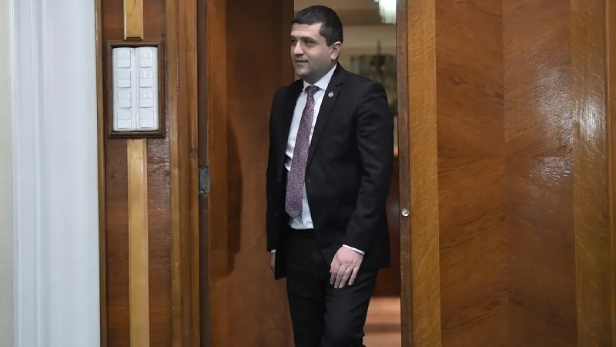 radu miruta