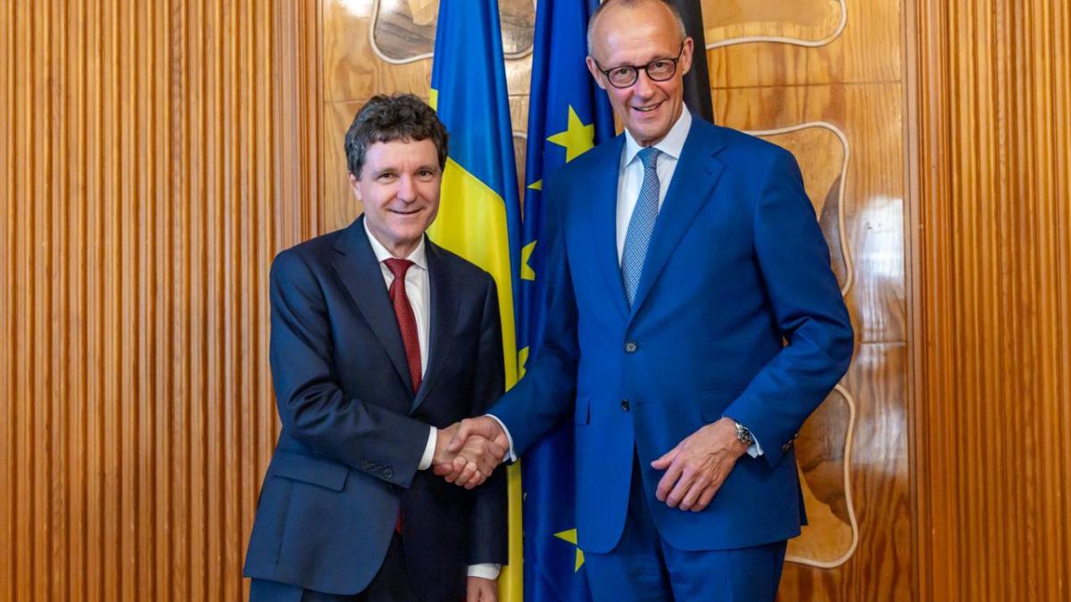 nicusor dan si friedrich merz