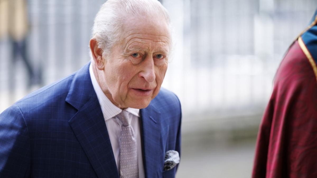 Imagine cu Regele Charles al III-lea 