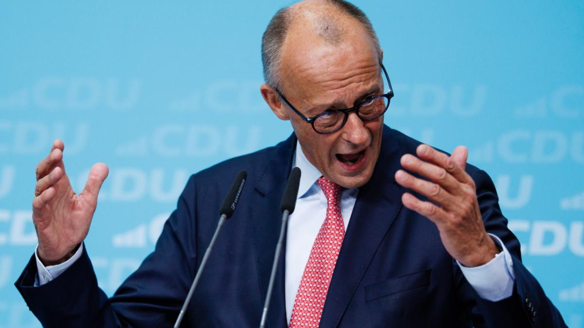 friedrich merz cancelarul germaniei