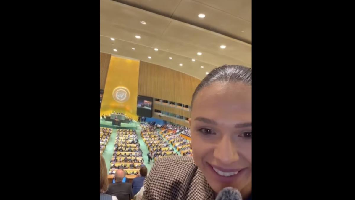 ana pacuraru la onu