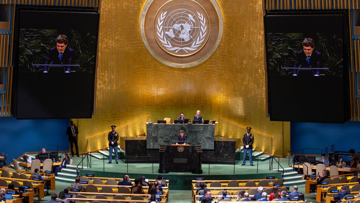 nicusor-dan-onu-presidency
