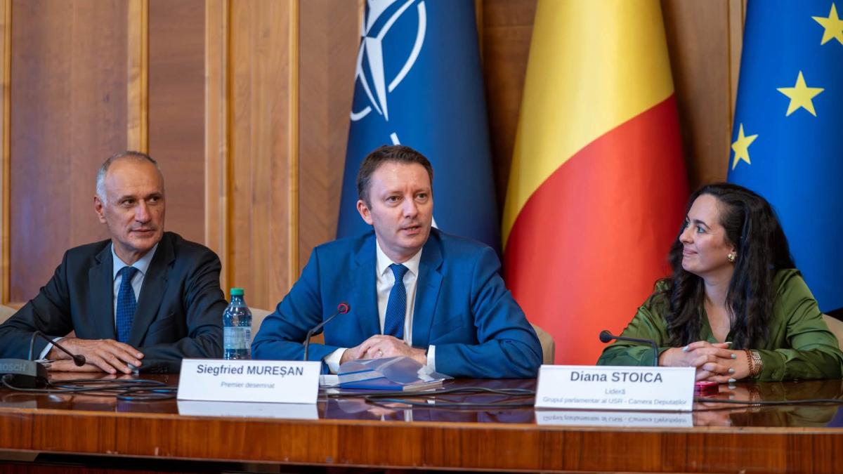 siegfried muresan diana stoica