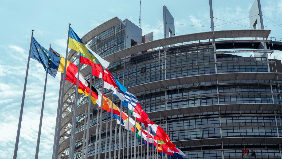 steagurile țărilor ue în fața parlamentului european