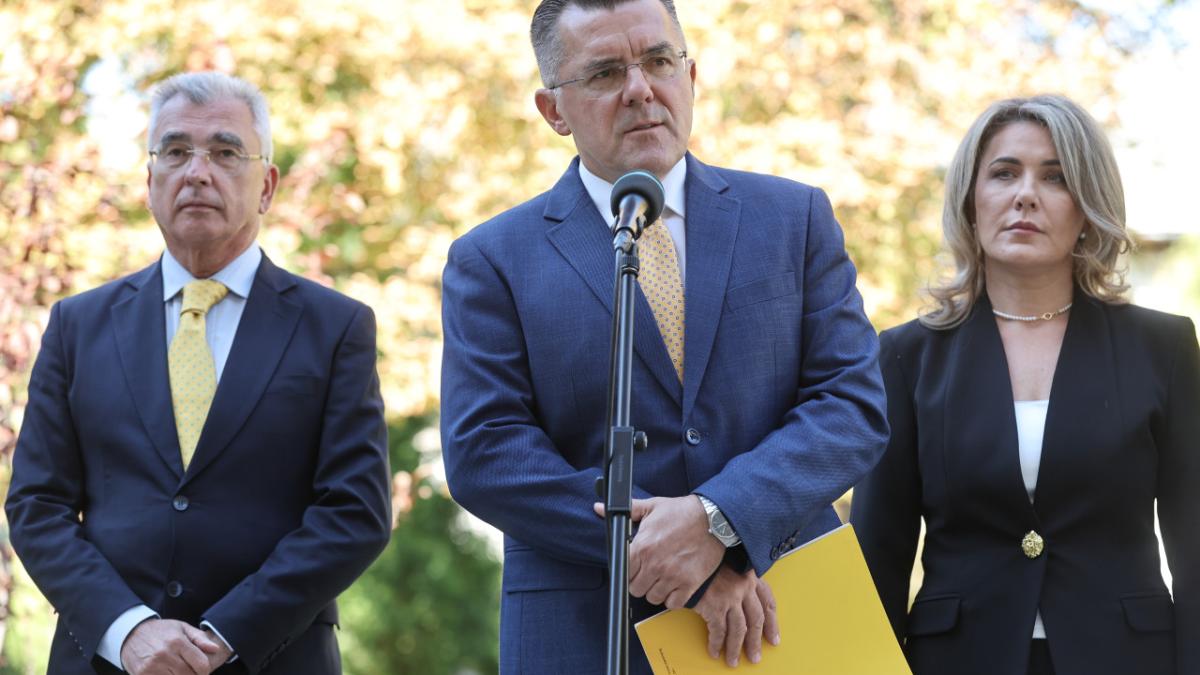 petrisor peiu dan dungaciu