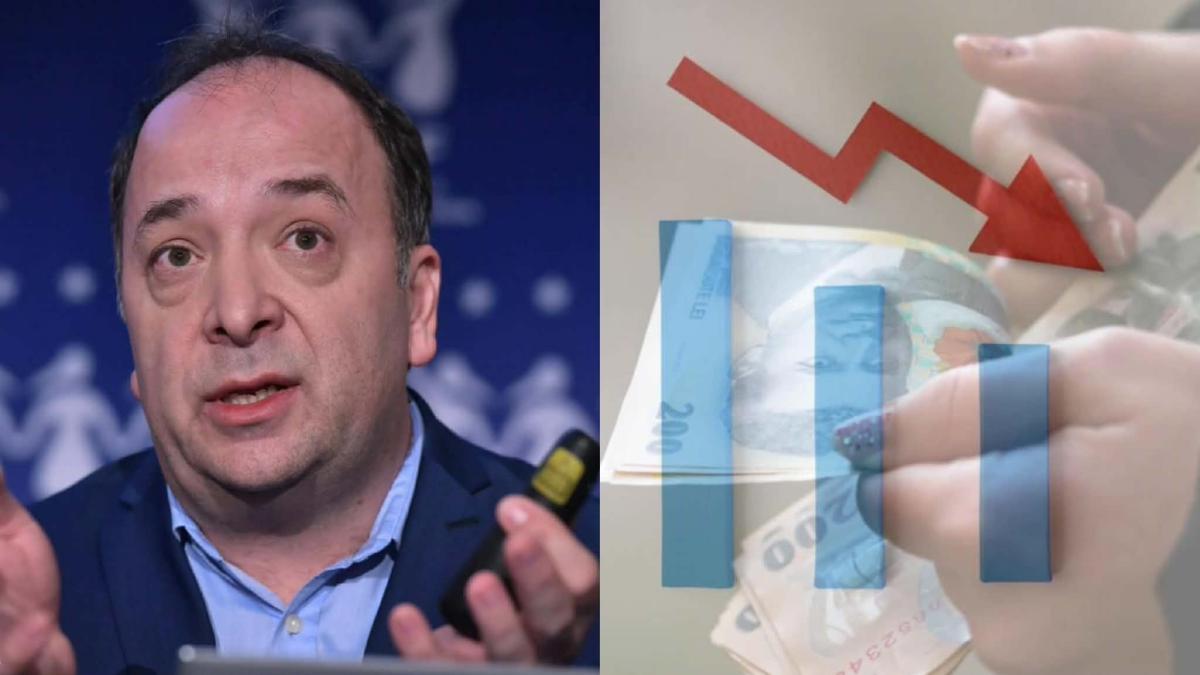 adrian negrescu leu euro economie
