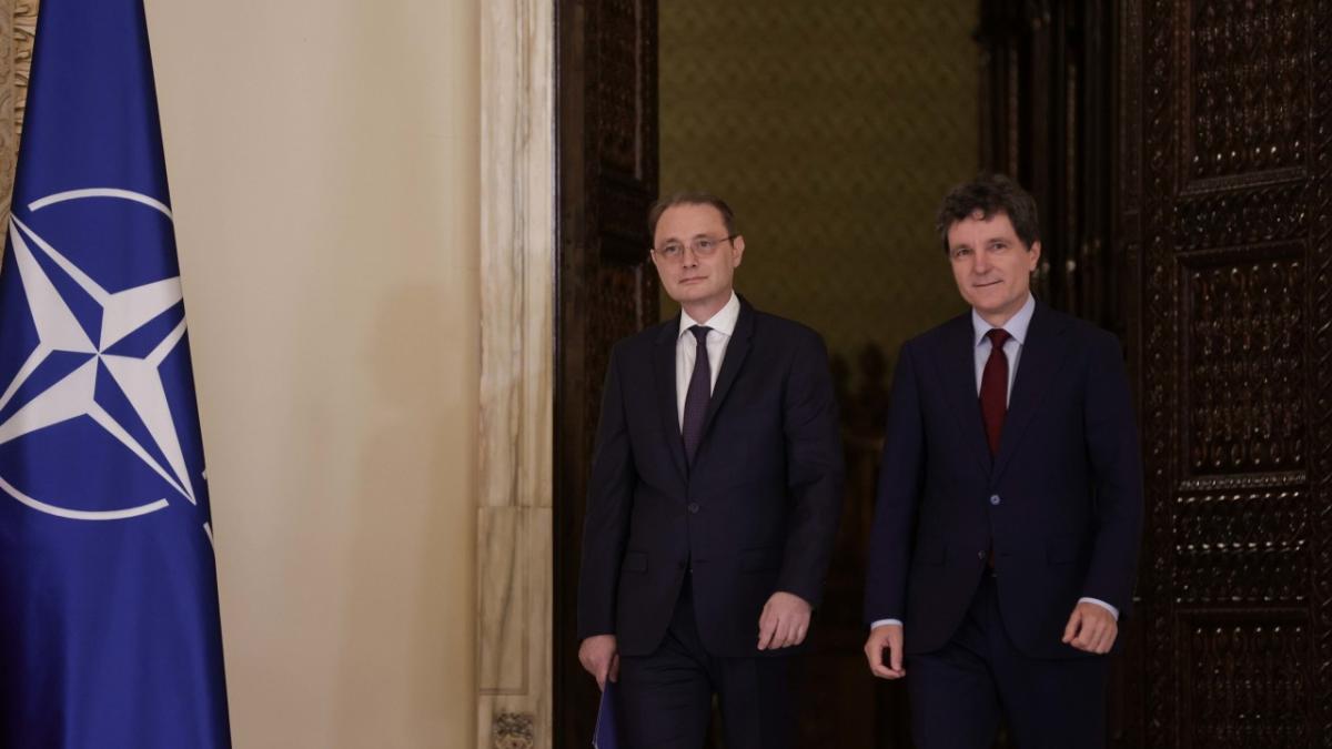 luca niculescu nicusor dan