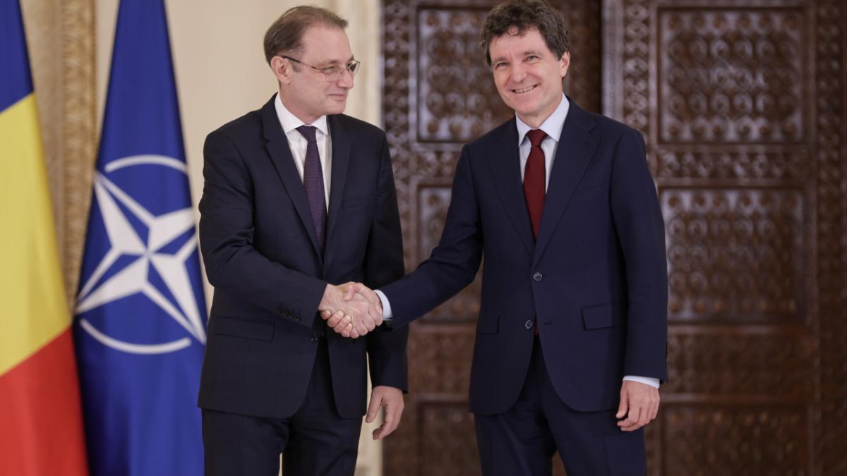 luca niculescu nicusor dan