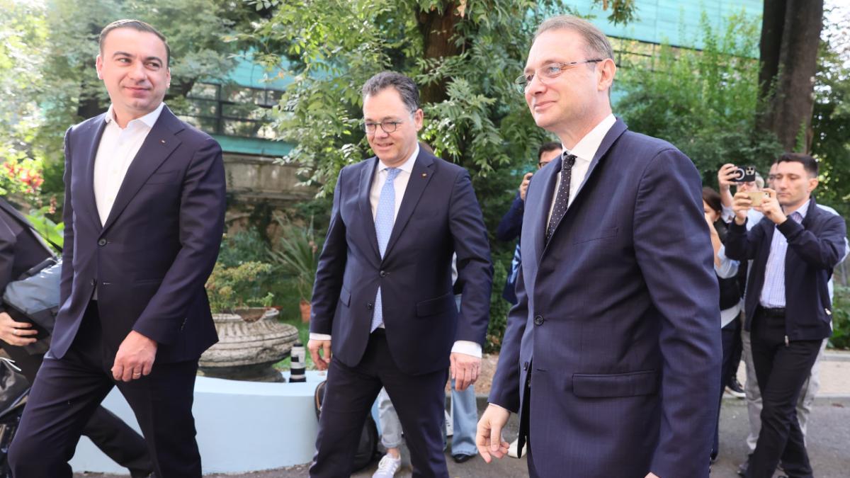 luca niculescu la sediul psd